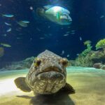 いつの間にか年始が終わってた