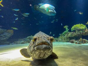 いつの間にか年始が終わってた